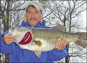 
	<strong>David Perales</strong>
<p>
	12 pounds, 15 ounces<br />
	3/20/2005; 7:30 a.m.<br />
	Toledo Bend, La.<br />
	<b>Lure</b>: Berkley Frenzy Popper (grey ghost)<br />
	<b>Depth</b>: 4 feet, grass</p>
