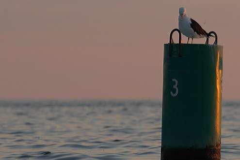<p>
Winds were light on the final day of the Bass Pro Shops Bassmaster Northern Open on Lake Erie.</p>