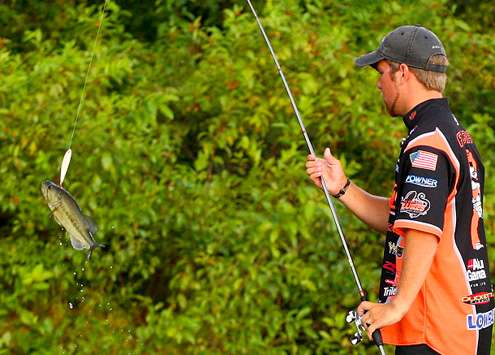 Flurry swings fish number five into the boat. The team from Oklahoma State now has a limit of fish.