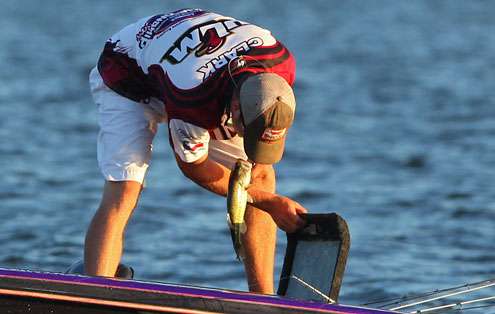 Clark places the fish in the livewell.