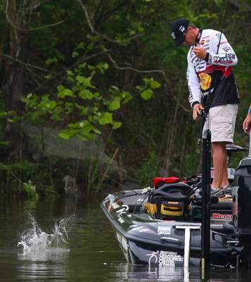 <p>Back it goes. Too short.</p>