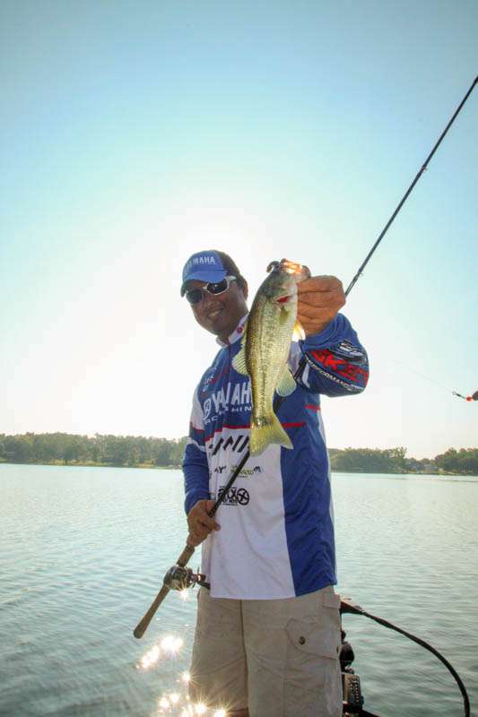 <b>8:50 a.m.</b> Miyazaki’s first keeper bass of the day, 1 pound, 6 ounces, hit a Carolina-rigged Yamamoto Senko on a main-lake ledge.” width=”533″ height=”800″><figcaption><b>8:50 a.m.</b> Miyazaki’s first keeper bass of the day, 1 pound, 6 ounces, hit a Carolina-rigged Yamamoto Senko on a main-lake ledge.</figcaption></figure>
<figure><img decoding=