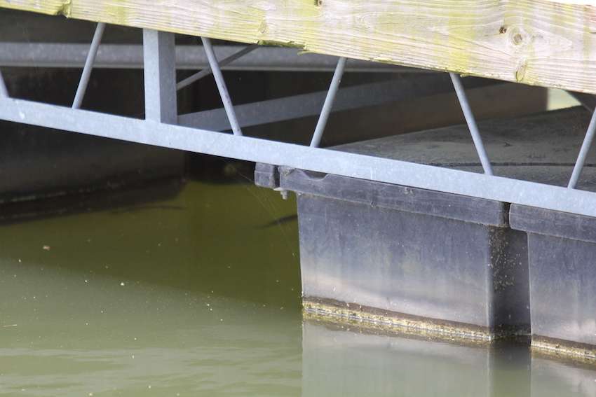 Signs of life around these docks. 