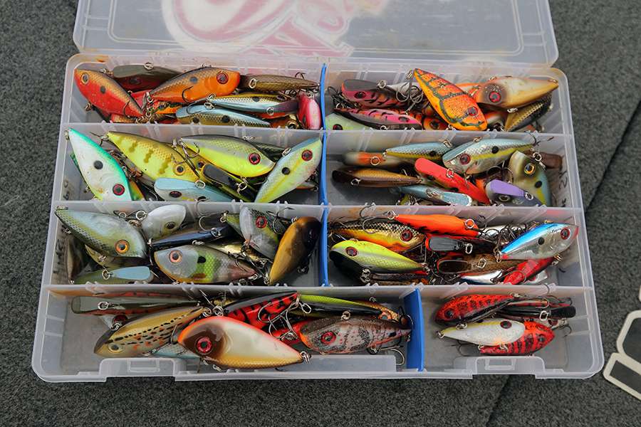 A wide selection of lipless crankbait color patterns.