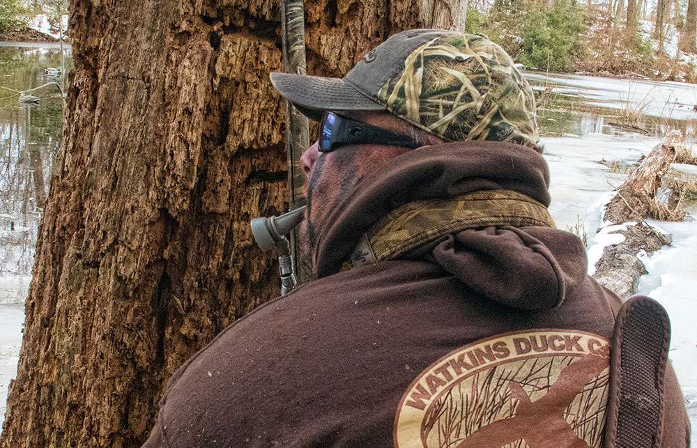 Powroznik showed early on that he was a master with a variety of calls, using a whistle to peep to widgeon and gadwalls overheard.