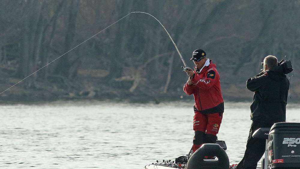 He works the bass towards the boat.