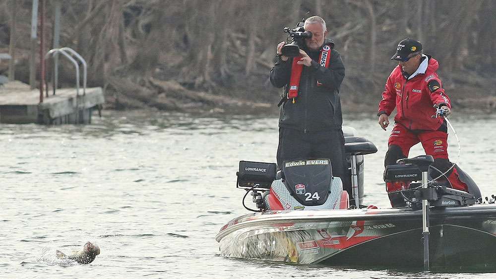 Evers hooks up again.