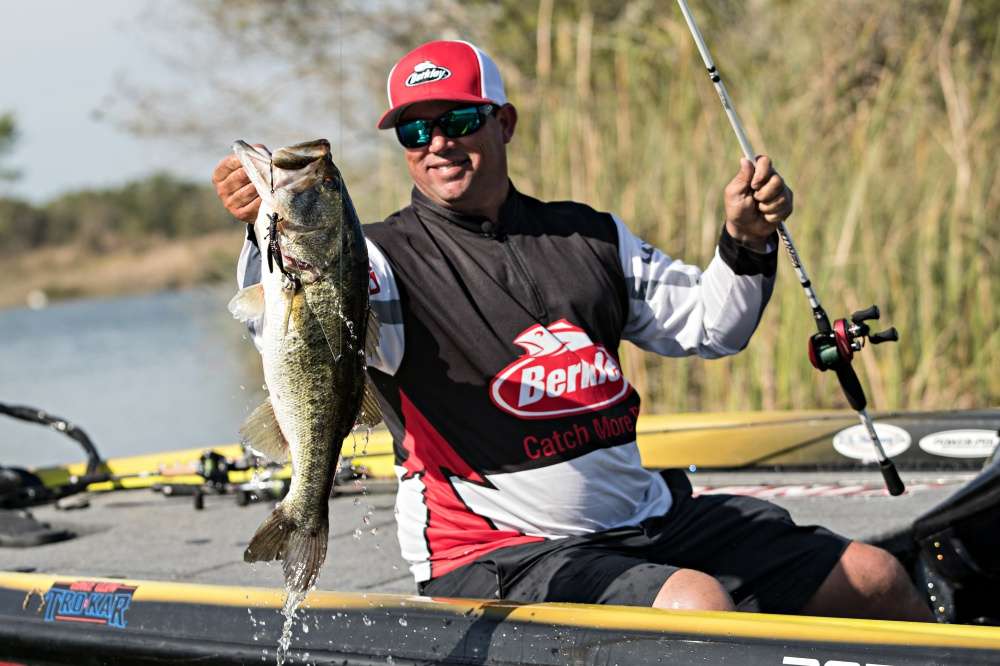 Berkley PowerBait MaxScent Critter Hawg<BR>