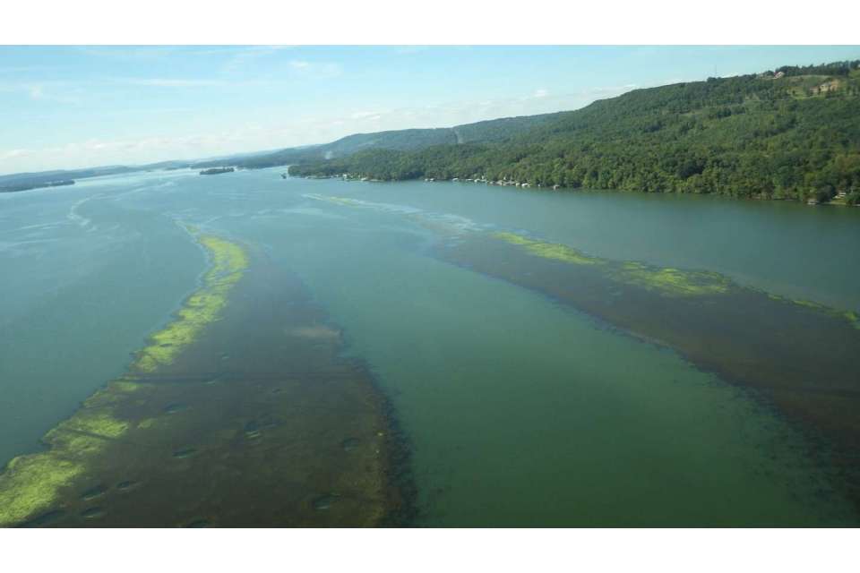 To complete a nine-event season, Lake Guntersville was added in place of New Yorkâs Cayuga Lake, which was canceled because of COVID-19 concerns. Officials in Scottsboro, Ala., stepped up to help bring the Elites back and B.A.S.S. to fill its original nine-event schedule.