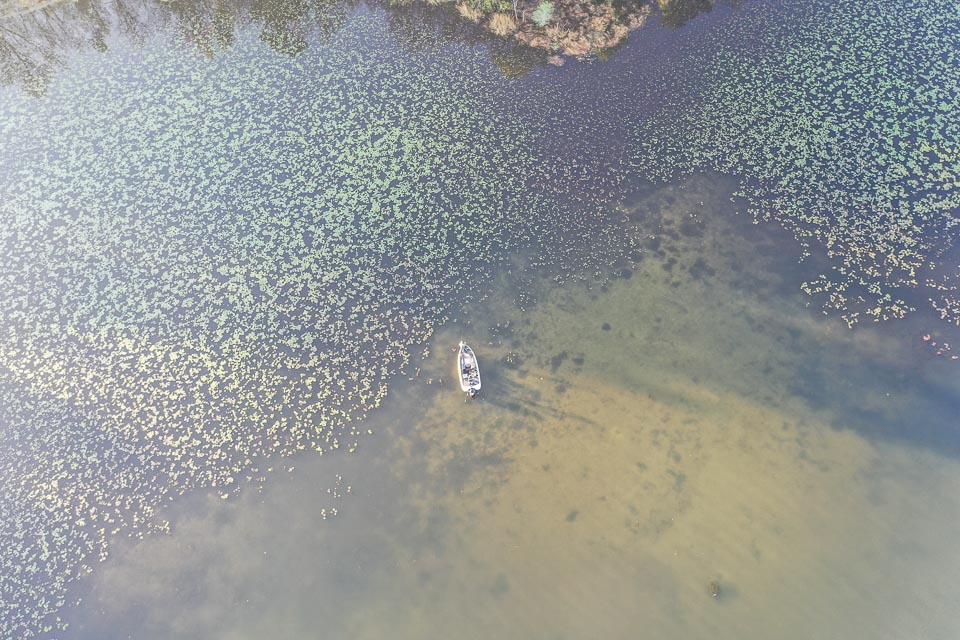 An overhead view of Drew Cook fishing Santee Cooper Lakes.