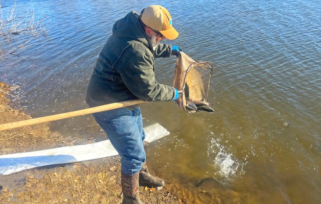 Mike Iaconelli donation several hundred extra trout