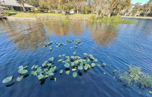 How to breakdown bank fishing